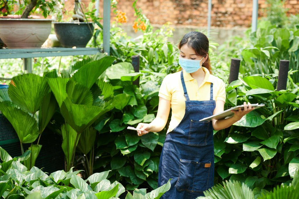 How To Start a Plant Nursery Business