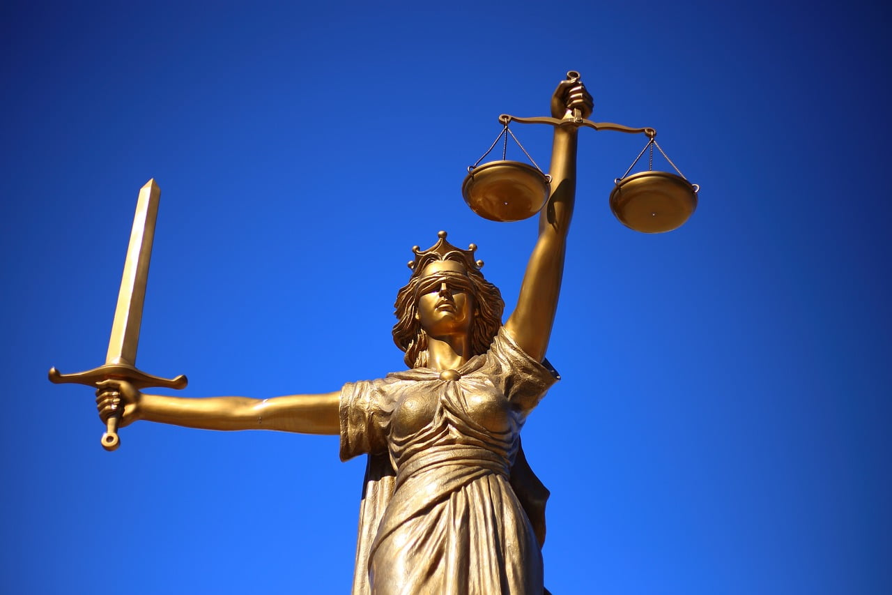 Vital Roles in the World of Law