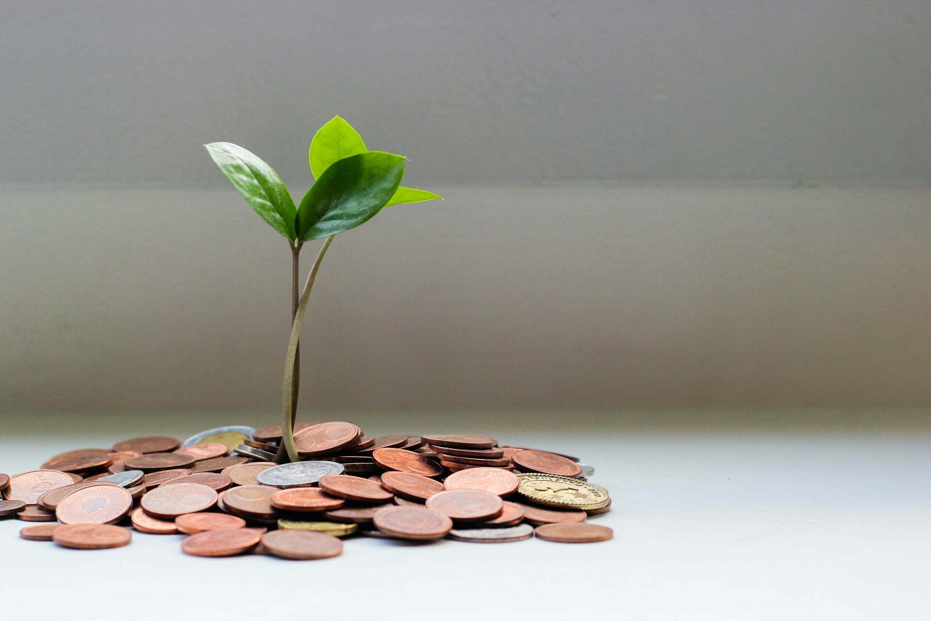 4 Tips to Ensure You Use Your Home Loan Smartly
