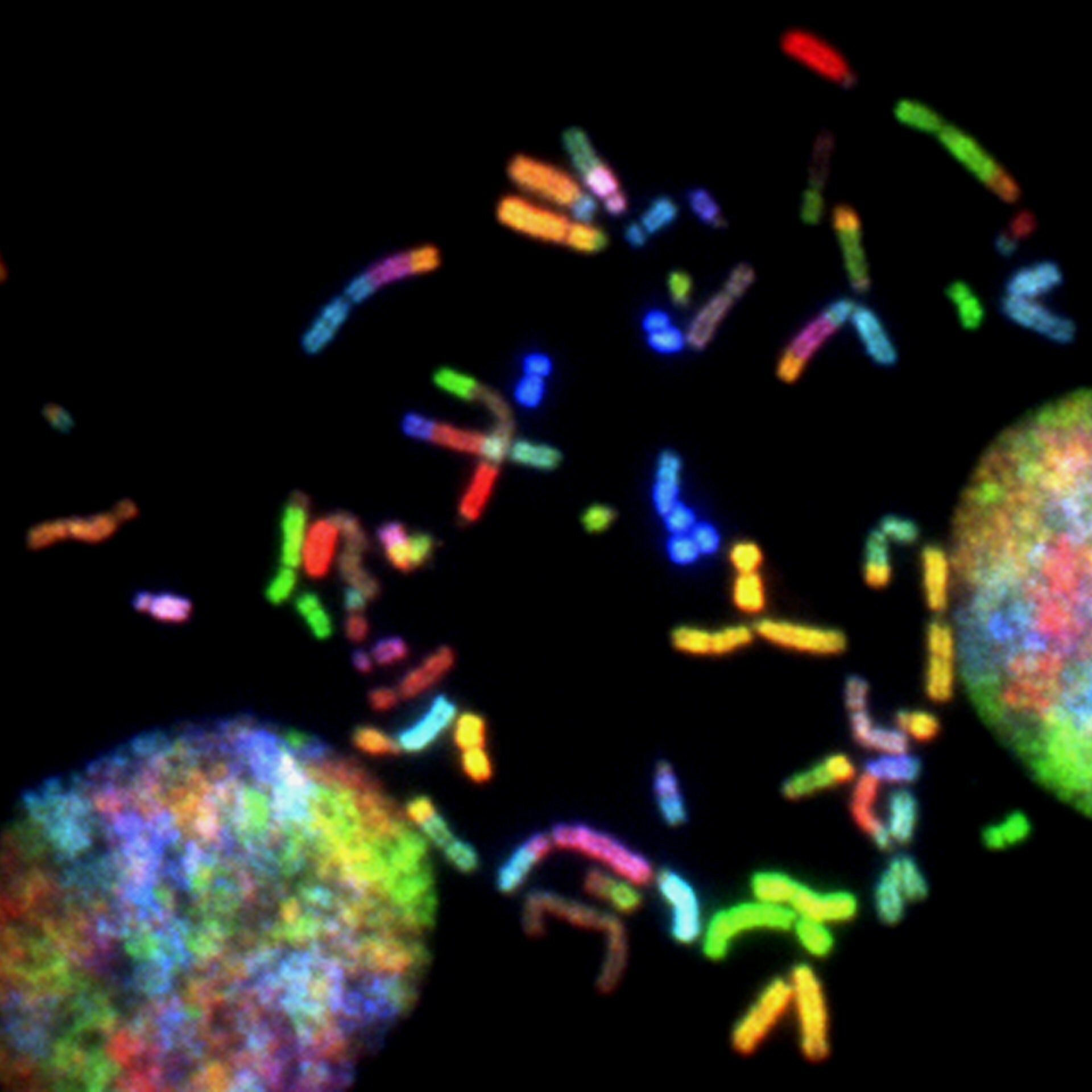 What Is Process Development in Biotech?