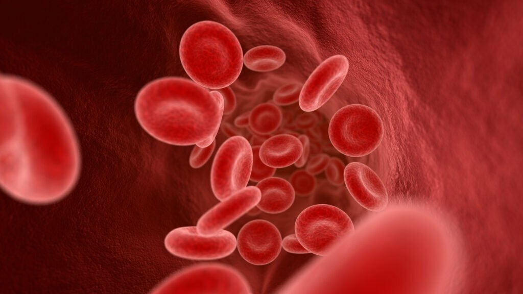 How NAD Benefits Your Body